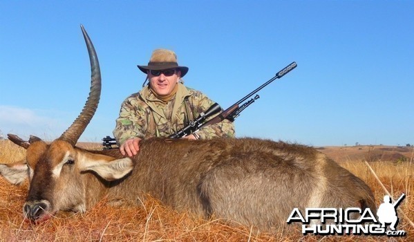 Waterbuck bull