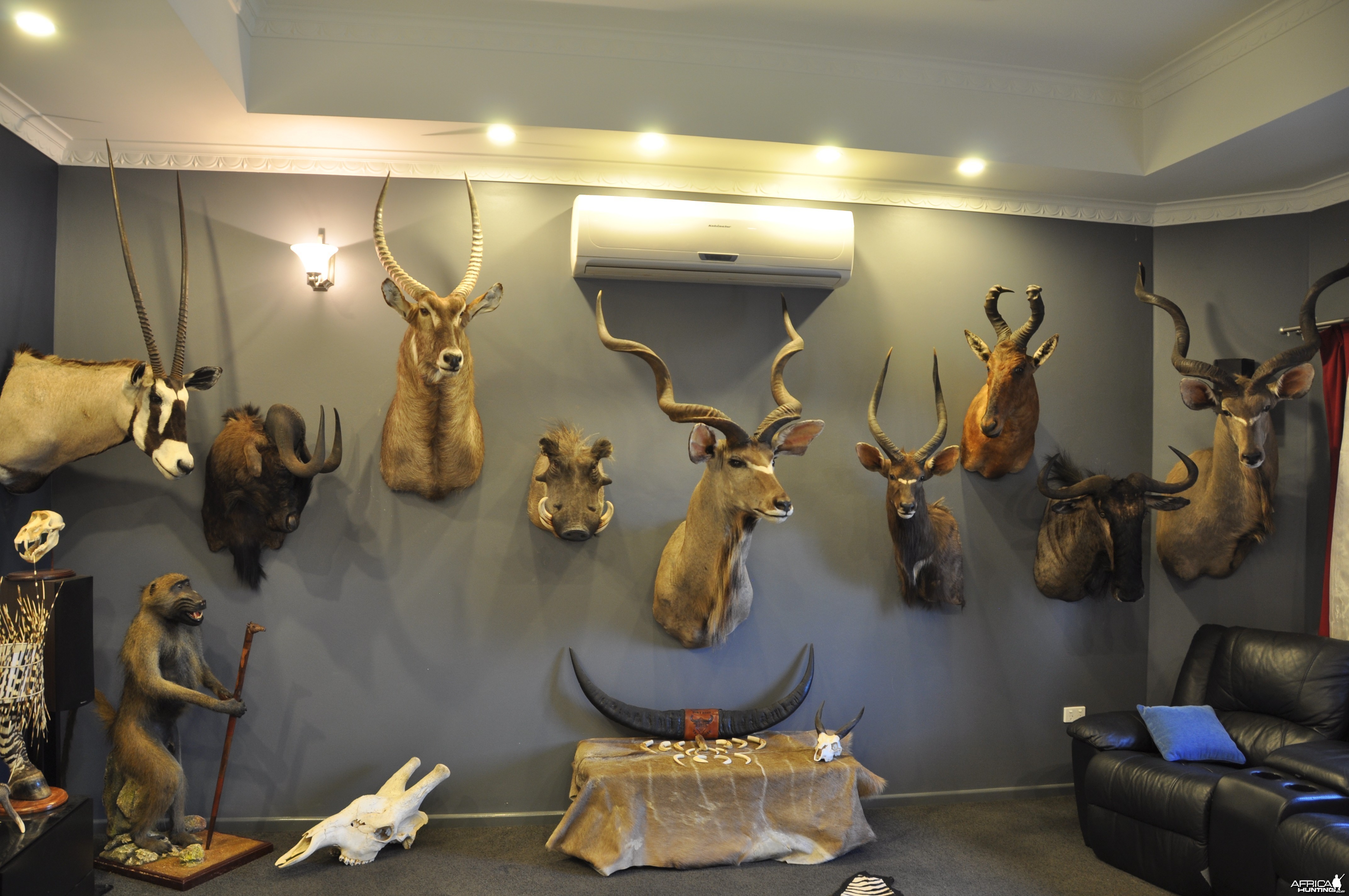 trophy room