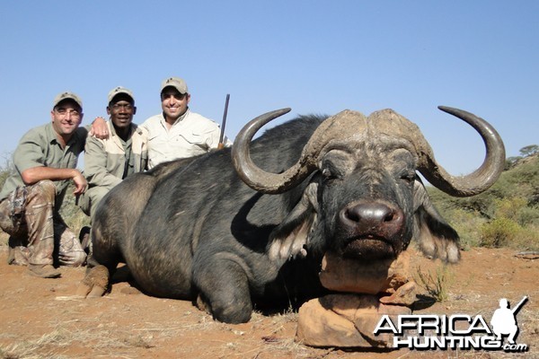 Buffalo hunt with Wintershoek Johnny Vivier Safaris