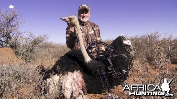 Ostrich hunt with Wintershoek Johnny Vivier Safaris