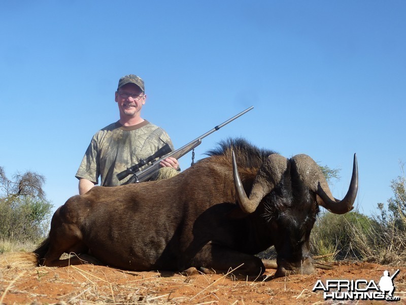 Black Wildebeest hunt with Wintershoek Johnny Vivier Safaris