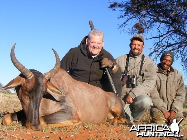 Tsessebe hunt with Wintershoek Johnny Vivier Safaris