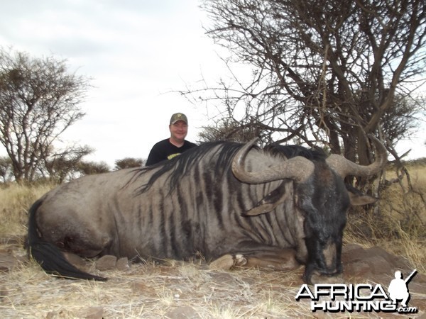 Blue Wildebeest hunt with Wintershoek Johnny Vivier Safaris