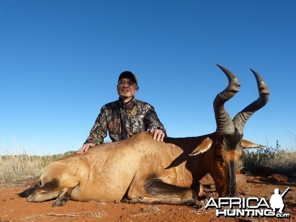 Hartebeest hunt with Wintershoek Johnny Vivier Safaris