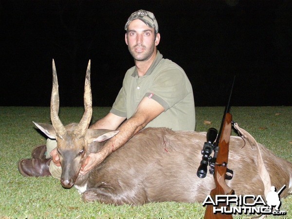 15&quot; Bushbuck