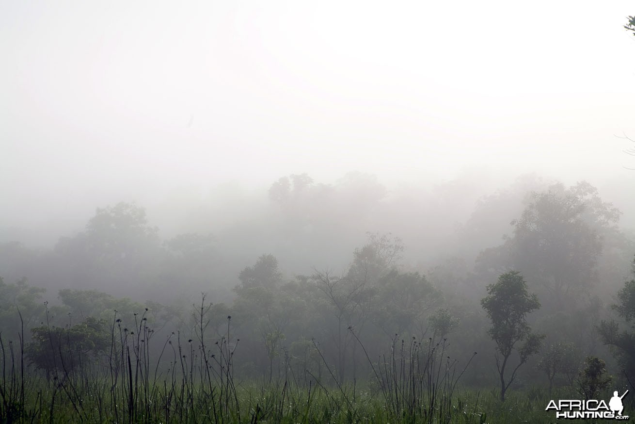 Central African Republic Landscape