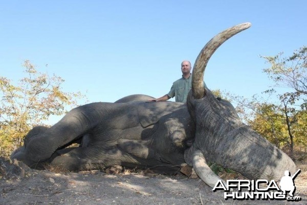 Elephant Namibia