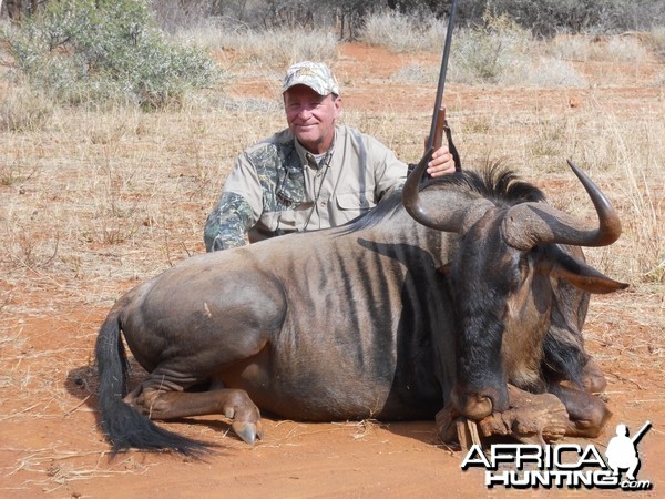 Blue Wildebeest, motsomi safaris, 7/13