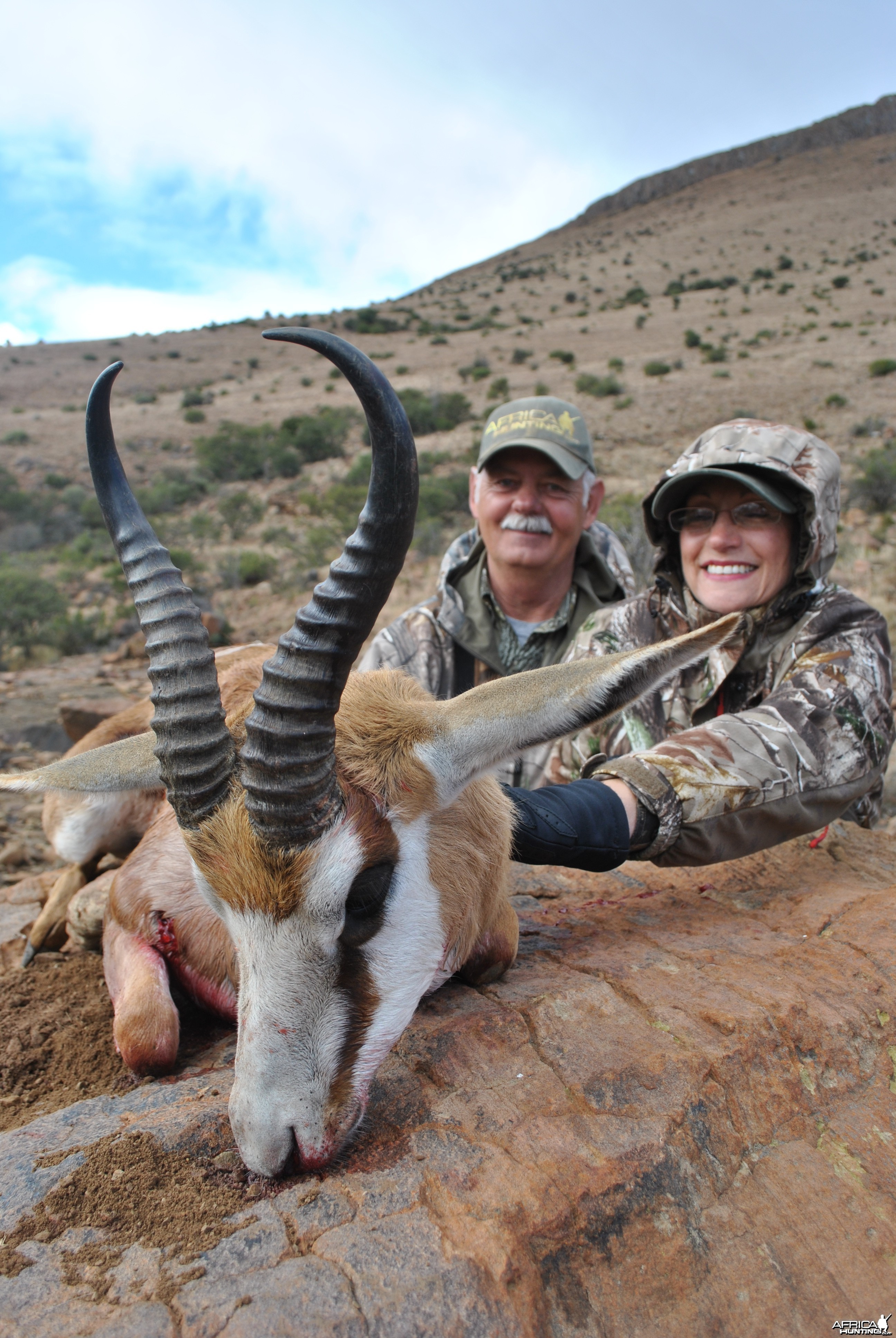 Springbok