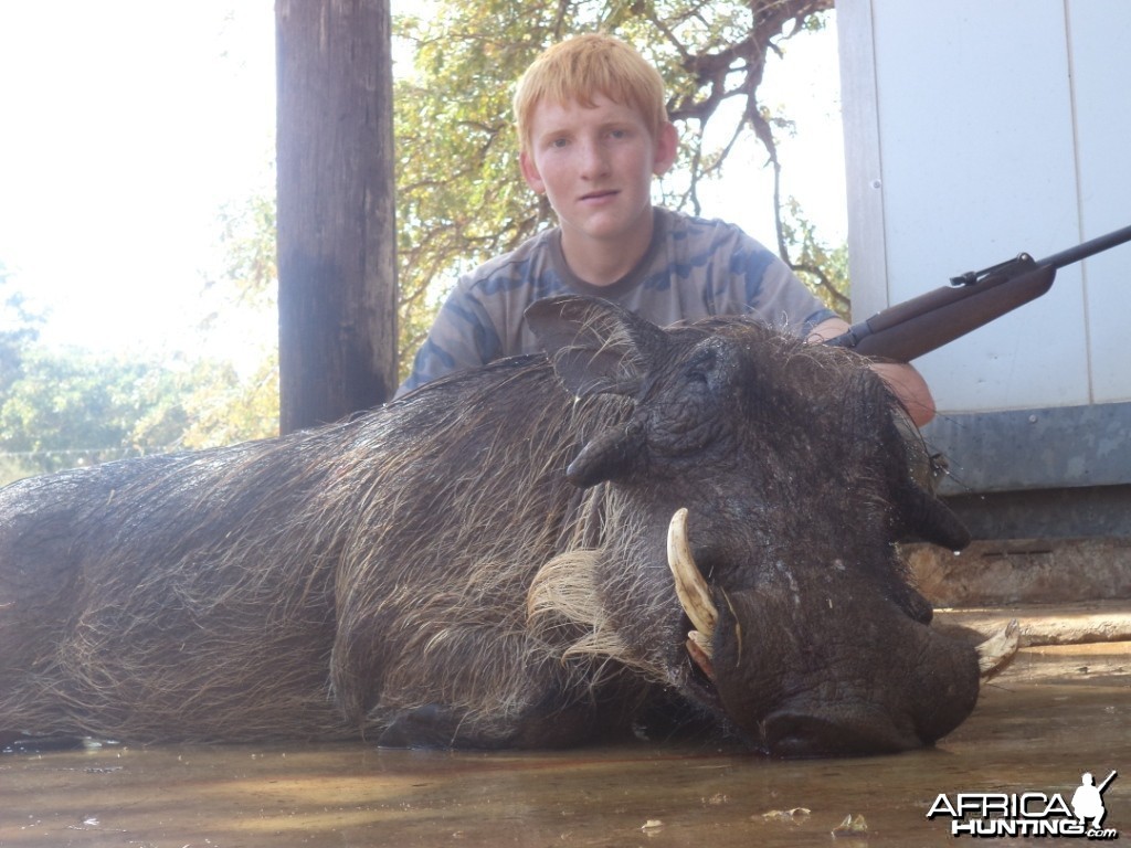 Warthog