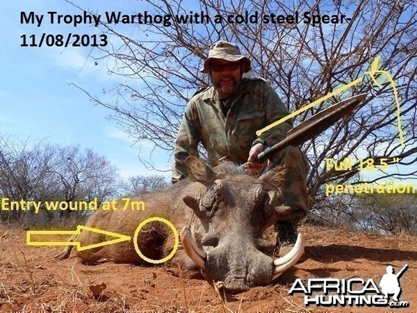 Warthog with a spear-finally!