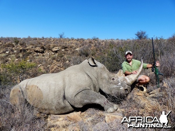 Darted White Rhino 2013