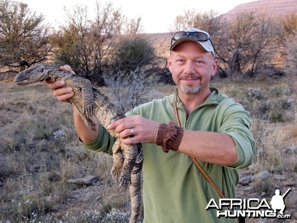 Very Cold Rock Monitor Lizard 2013