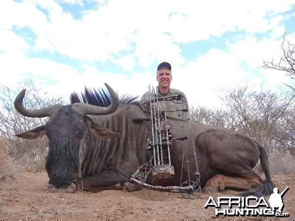 Blue Wildebeest Botswana 2013