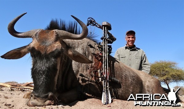 Blue Wildebeest Botswana 2013