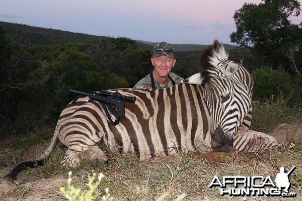 Zebra in the Eastern Cape