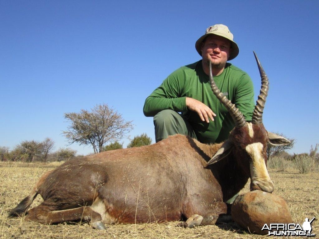 Blesbok
