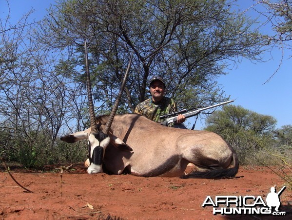 Gemsbok