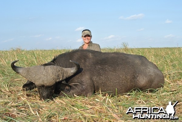 Buffalo Mozambique