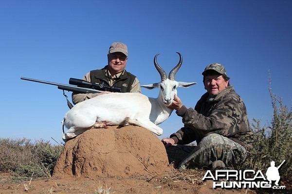 White Springbok hunt with Wintershoek Johnny Vivier Safaris