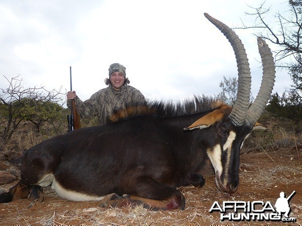 Sable hunt with Wintershoek Johnny Vivier Safaris