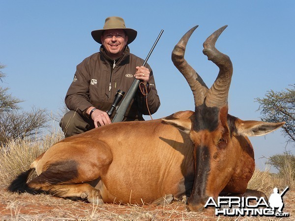 Hartebeest hunt with Wintershoek Johnny Vivier Safaris