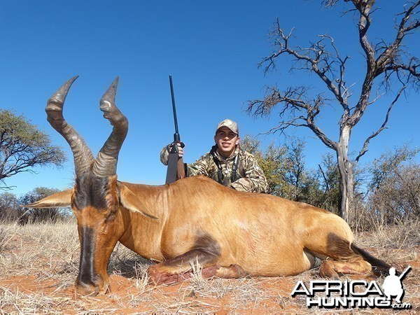 Hartebeest hunt with Wintershoek Johnny Vivier Safaris