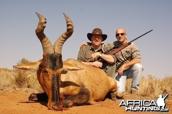 Hartebeest hunt with Wintershoek Johnny Vivier Safaris