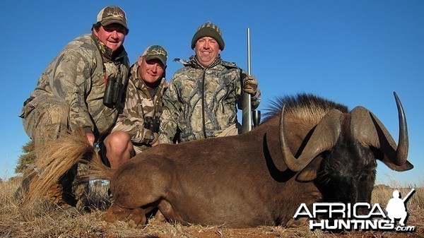 Black Wildebeest hunt with Wintershoek Johnny Vivier Safaris