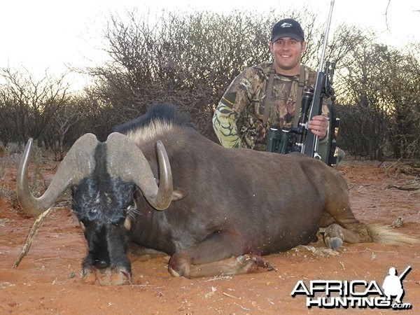 Black Wildebeest hunt with Wintershoek Johnny Vivier Safaris