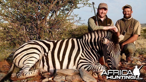 Zebra hunt with Wintershoek Johnny Vivier Safaris