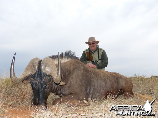 Black Wildebeest hunt with Wintershoek Johnny Vivier Safaris