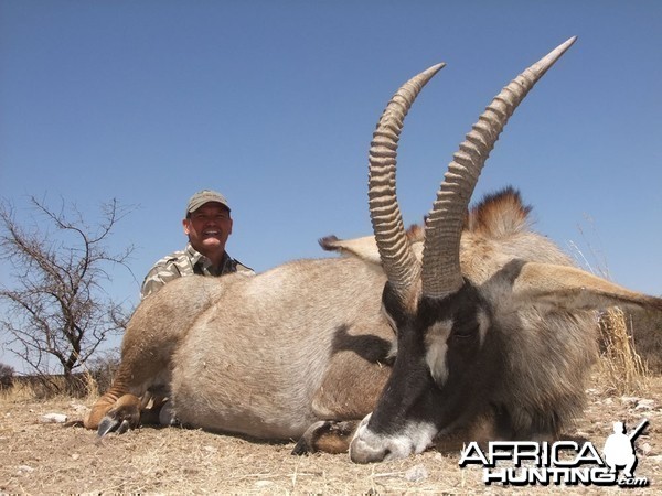 27&quot; Roan Antelope