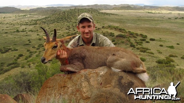 Southern Mountain Reedbuck