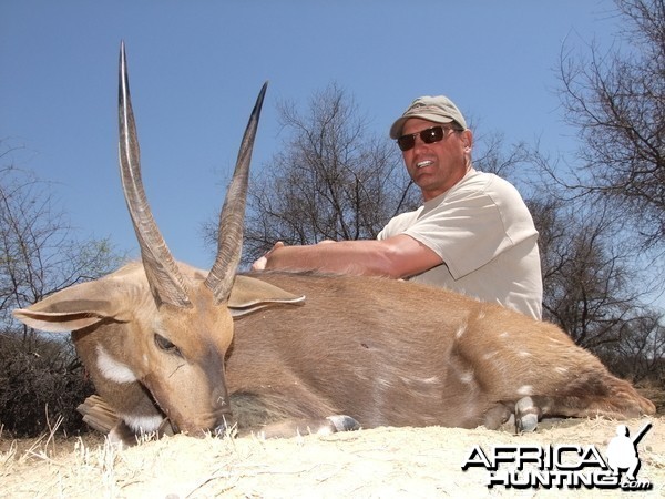 15&quot; Bushbok