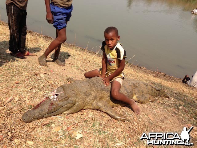 Croc That Killed His Brother