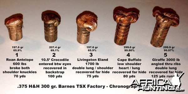 Barnes TSX Recovered Performance Report