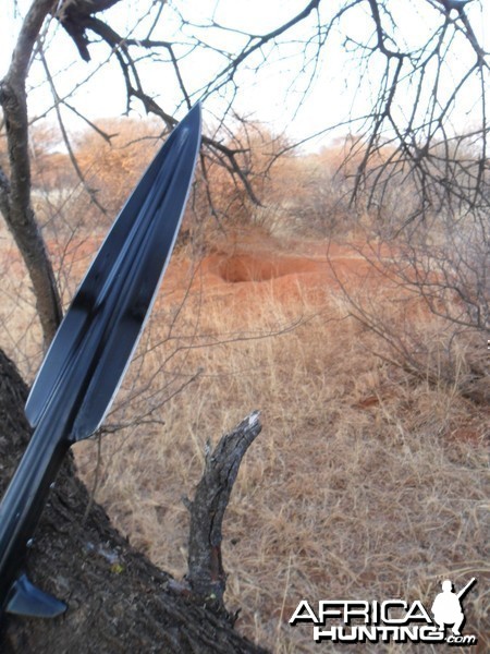 warthog spearhunting