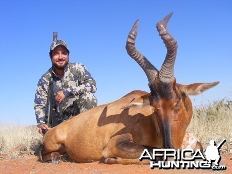 Red Hartebeest hunt with Wintershoek Johnny Vivier Safaris