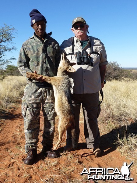 Jackal hunt with Wintershoek Johnny Vivier Safaris