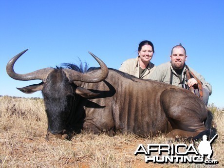 Blue Wildebeest hunt with Wintershoek Johnny Vivier Safaris