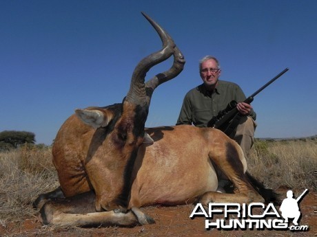 Red Hartebeest hunt with Wintershoek Johnny Vivier Safaris