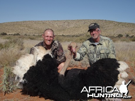 Ostrich hunt with Wintershoek Johnny Vivier Safaris