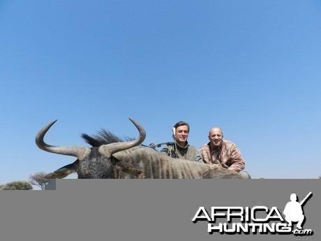 Blue Wildebeest hunt with Wintershoek Johnny Vivier Safaris