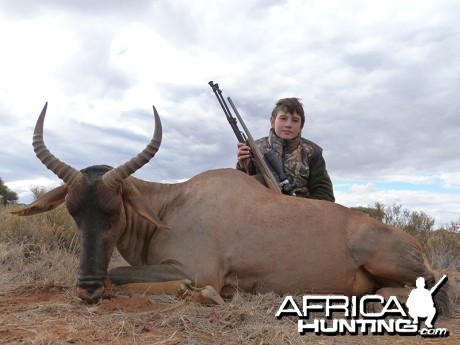 Tsessebe hunt with Wintershoek Johnny Vivier Safaris