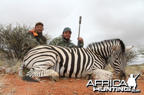 Zebra hunt with Wintershoek Johnny Vivier Safaris