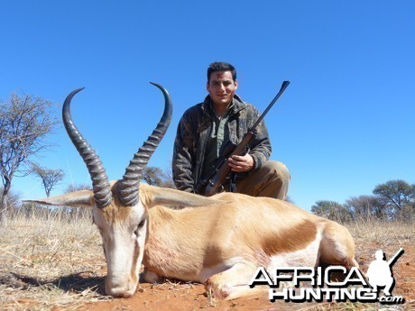 Springbok hunt with Wintershoek Johnny Vivier Safaris