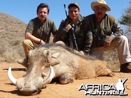 Warthog hunt with Wintershoek Johnny Vivier Safaris