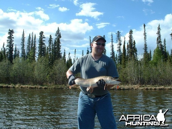 George lake Northern Pike