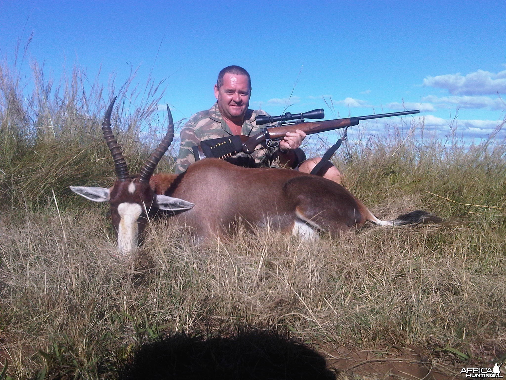 Blesbok
